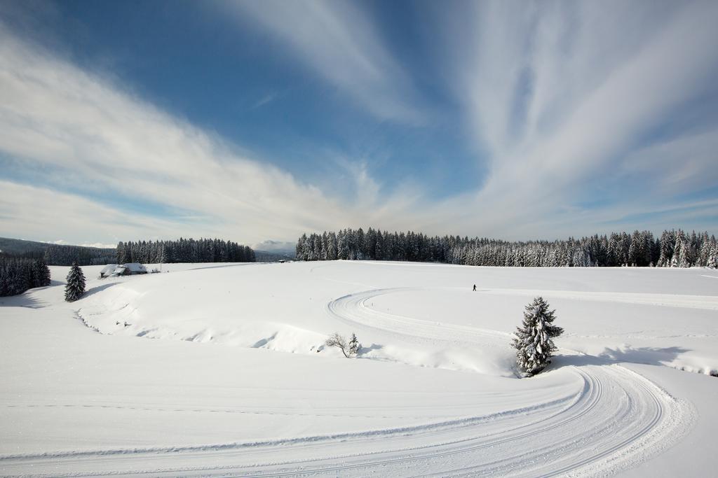 Gasthaus Zum Hirschen Фуртванґен Екстер'єр фото