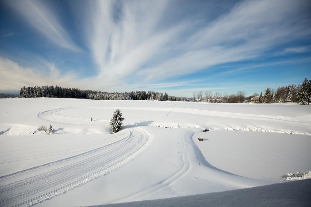 Gasthaus Zum Hirschen Фуртванґен Екстер'єр фото